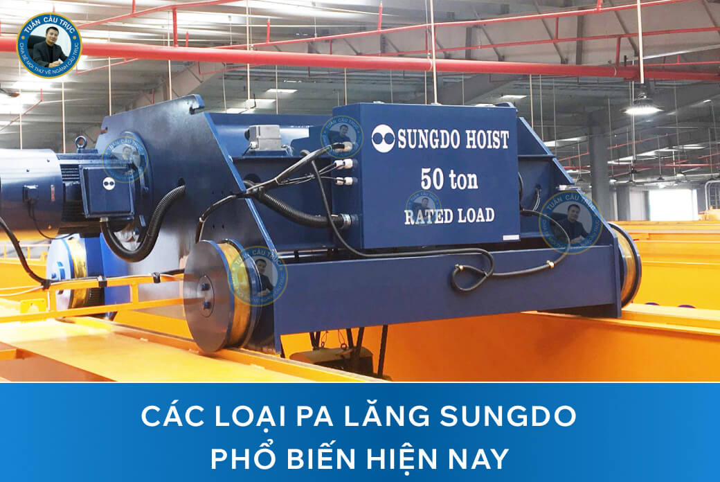 Các loại pa lăng Sungdo phổ biến hiện nay