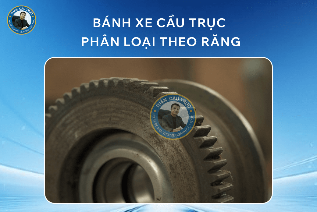Các loại size bánh xe cầu trục: D120, D160, D200, D250, D300, D350, D400, D450, D500, D600