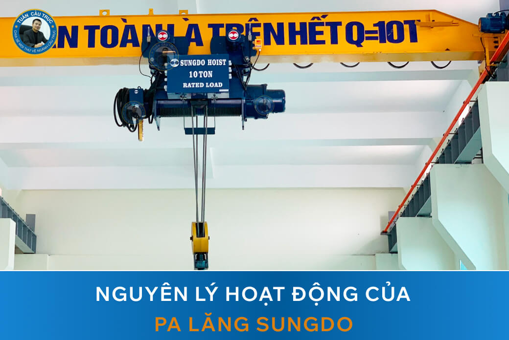 Nguyên lý hoạt động của pa lăng Sungdo