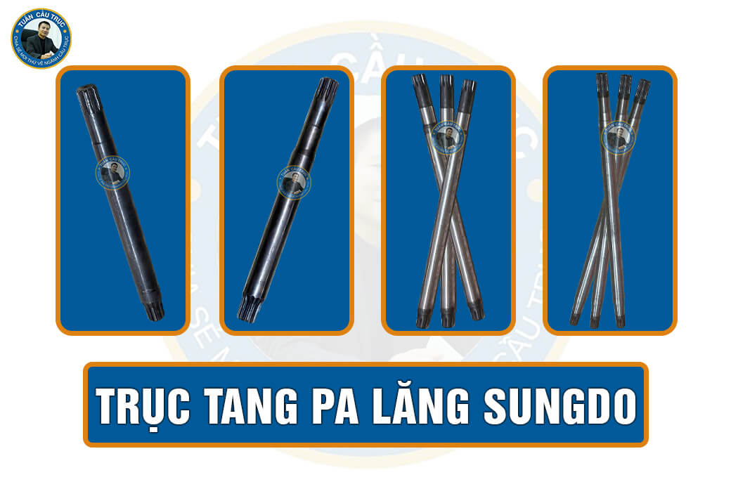 Trục tang pa lăng Sungdo 