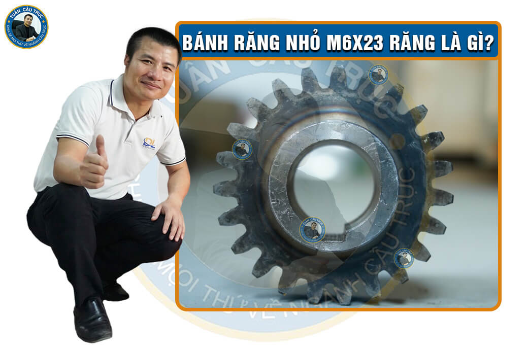 Bánh răng nhỏ M6x23 răng là gì? Bánh răng nhỏ M6x23 răng là gì?