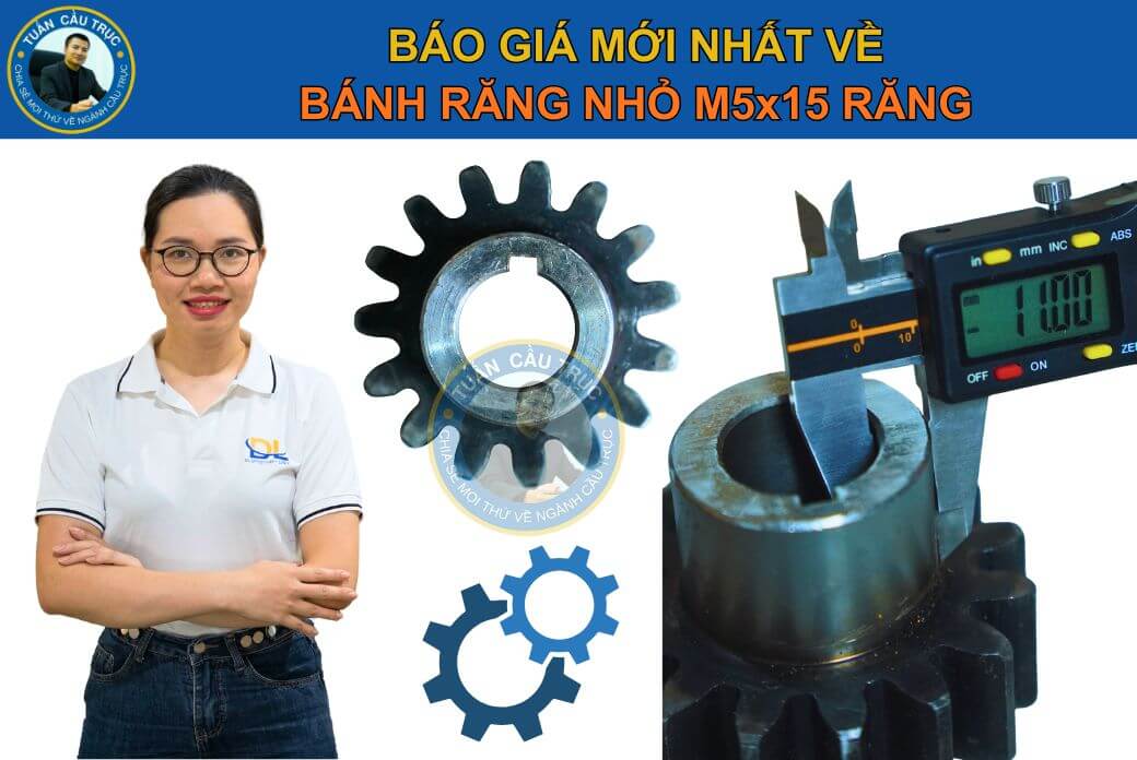 Báo giá bánh răng nhỏ M5x15 răng Báo giá bánh răng nhỏ M5x15 răng