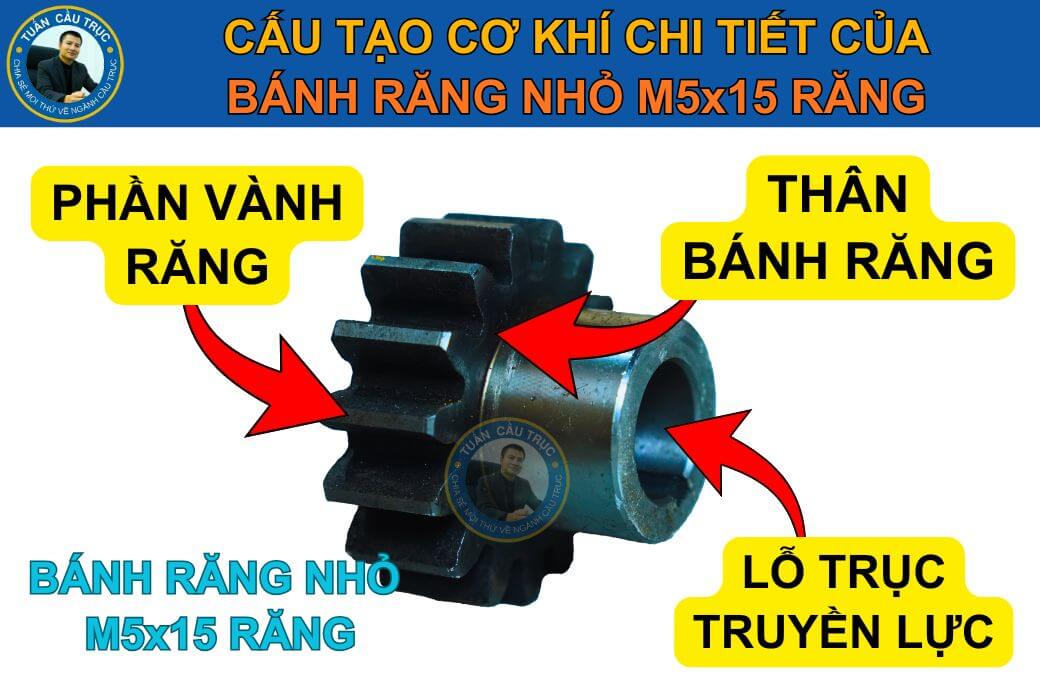 Cấu tạo cơ khí của bánh răng nhỏ M5x15 răng Cấu tạo cơ khí của bánh răng nhỏ M5x15 răng