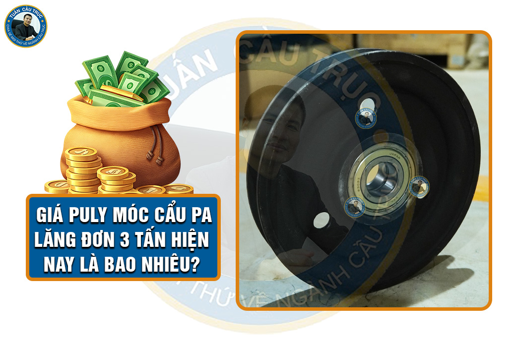 Giá puly móc cẩu pa lăng đơn 3 tấn hiện nay là bao nhiêu? Giá puly móc cẩu pa lăng đơn 3 tấn hiện nay là bao nhiêu?