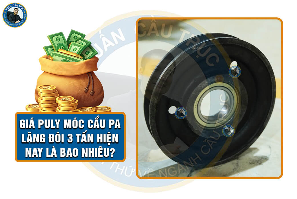 Giá puly móc cẩu pa lăng đôi 3 tấn hiện nay là bao nhiêu? Giá puly móc cẩu pa lăng đôi 3 tấn hiện nay là bao nhiêu?