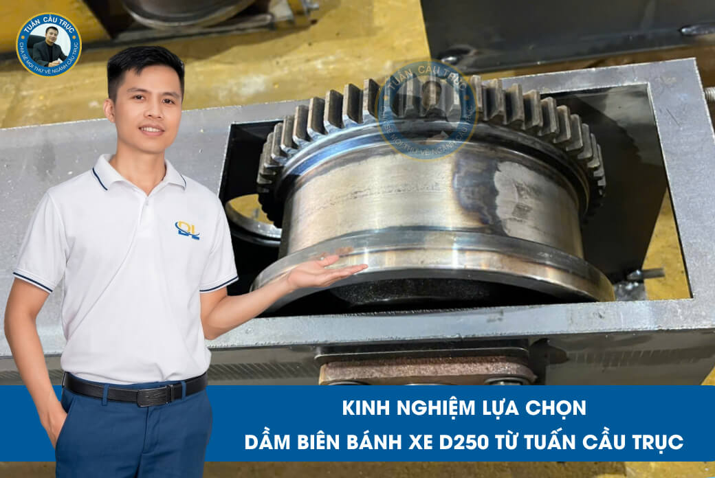 Kinh nghiệm lựa chọn dầm biên bánh xe D250 từ Tuấn Cầu Trục Kinh nghiệm lựa chọn dầm biên bánh xe D250 từ Tuấn Cầu Trục