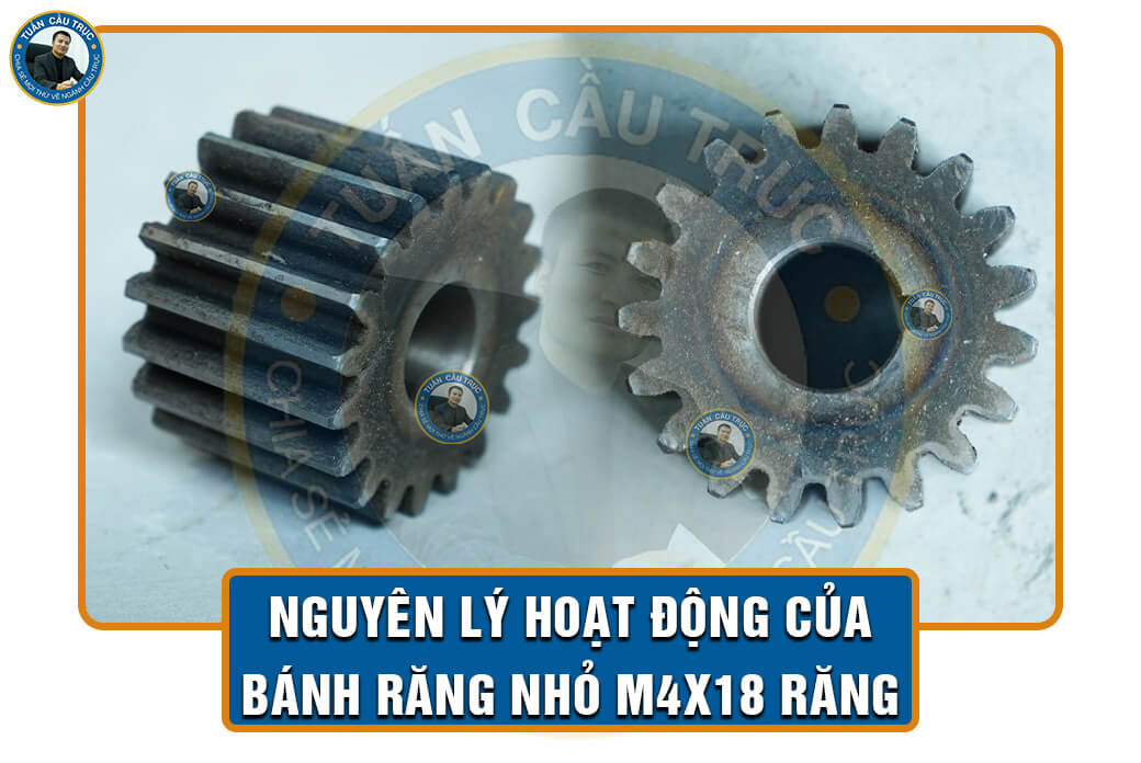 Nguyên lý hoạt động của bánh răng nhỏ M4x18 răng Nguyên lý hoạt động của bánh răng nhỏ M4x18 răng
