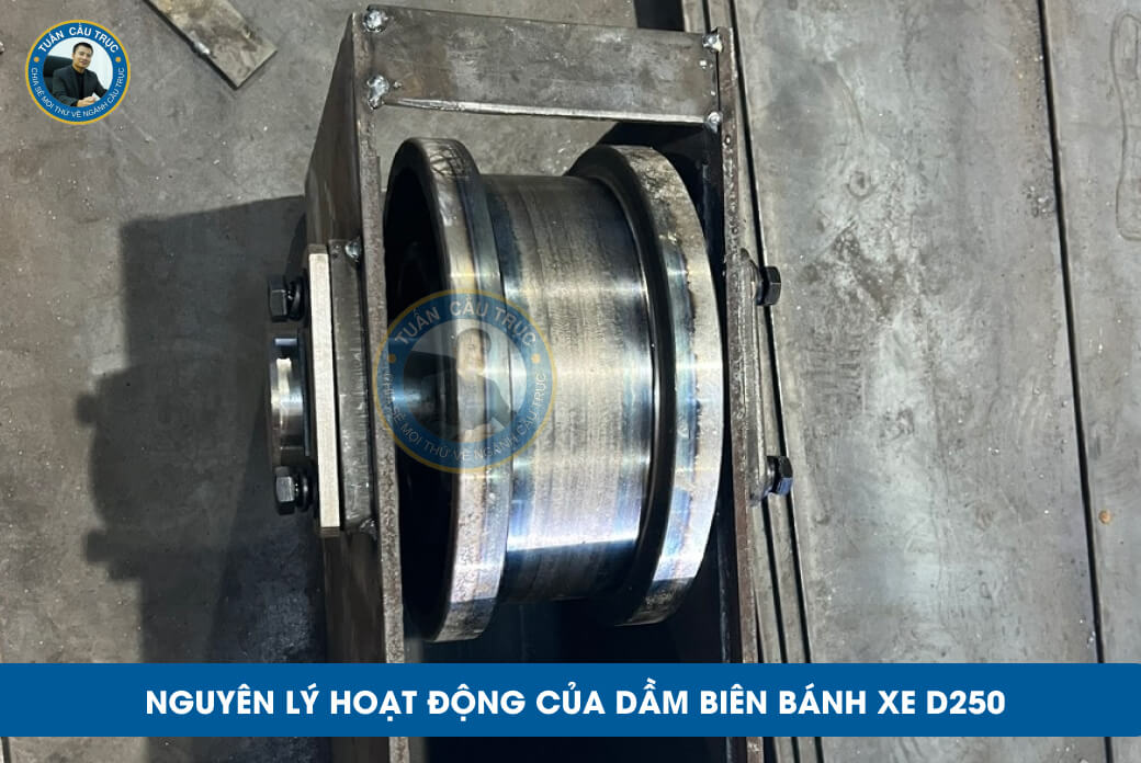 Nguyên lý hoạt động của dầm biên bánh xe D250 Nguyên lý hoạt động của dầm biên bánh xe D250