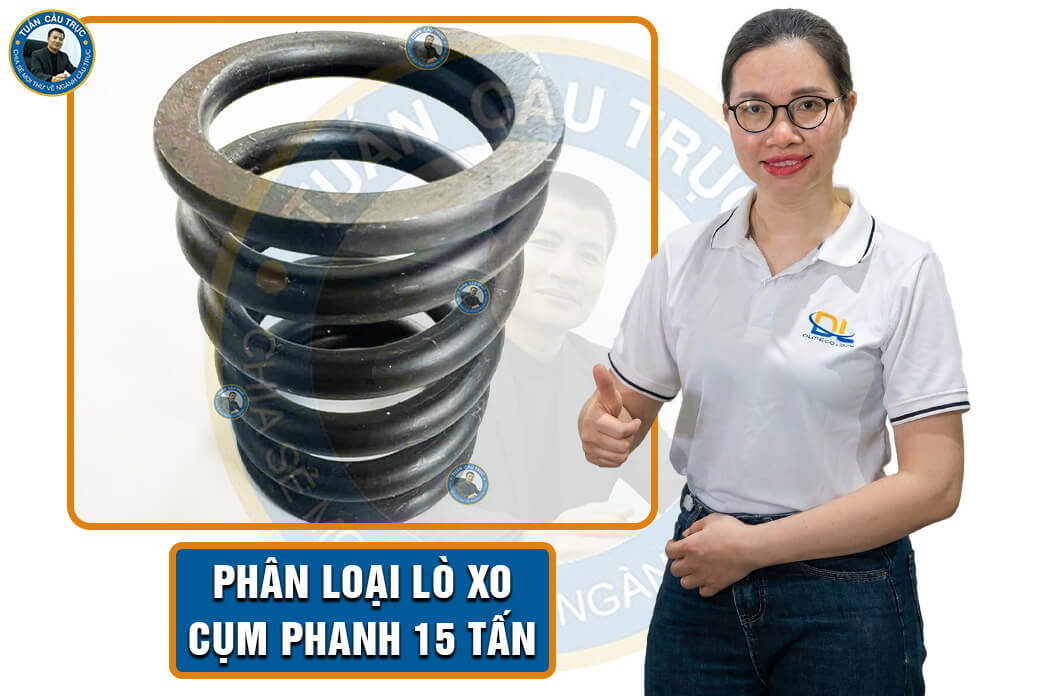 Phân loại lò xo cụm phanh 15 tấn Phân loại lò xo cụm phanh 15 tấn