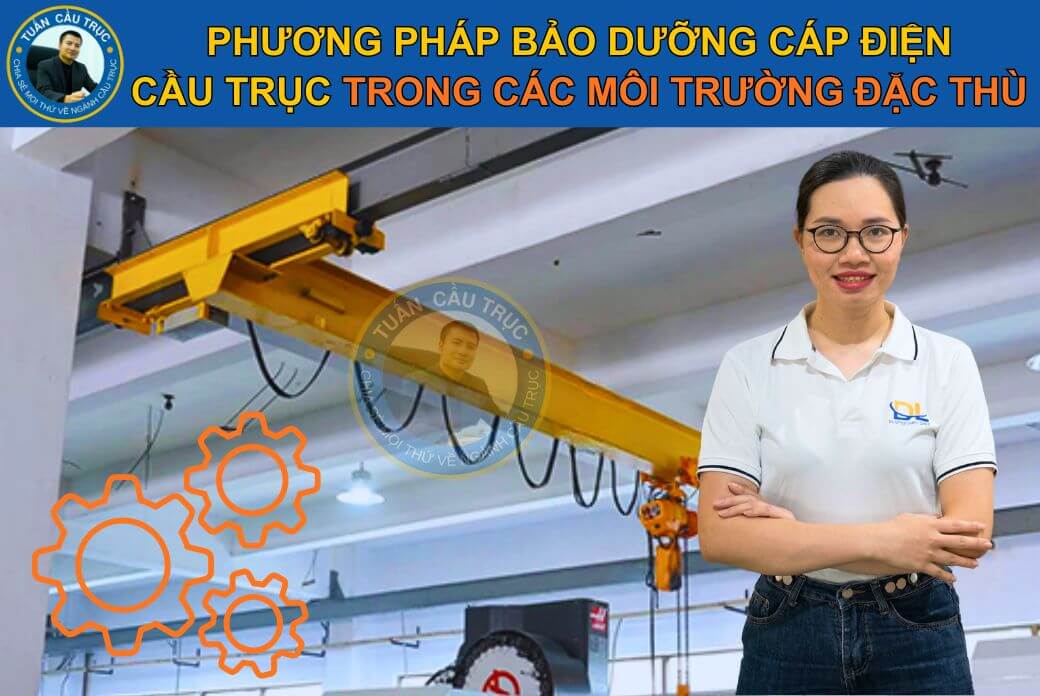 Phương pháp bảo dưỡng cáp điện cầu trục trong các môi trường đặc thù Phương pháp bảo dưỡng cáp điện cầu trục trong các môi trường đặc thù