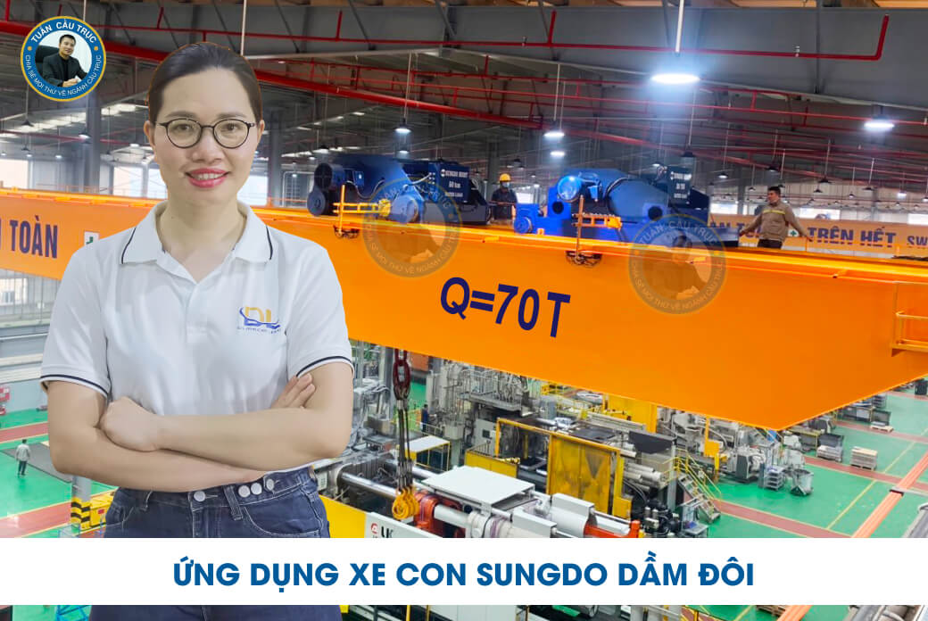 Ứng dụng xe con Sungdo dầm đôi Ứng dụng xe con Sungdo dầm đôi