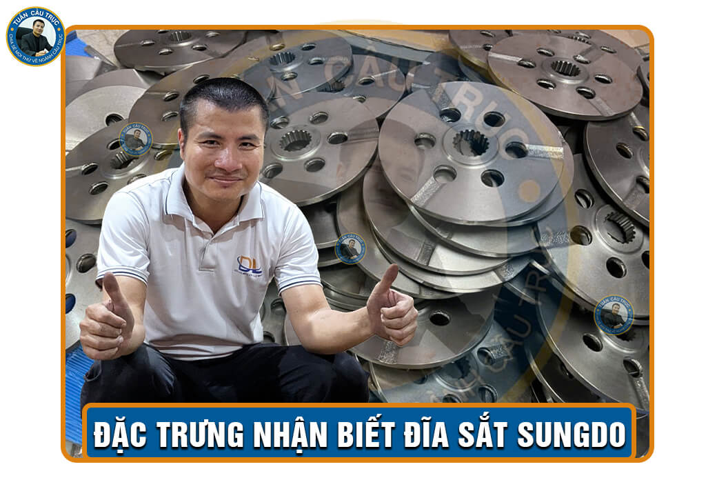 Đặc trưng nhận biết đĩa sắt Sungdo Đặc trưng nhận biết đĩa sắt Sungdo