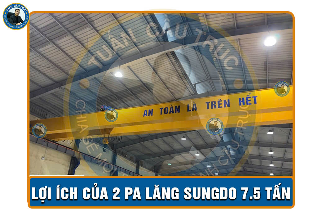 Lợi ích của 2 pa lăng Sungdo 7.5 tấn Lợi ích của 2 pa lăng Sungdo 7.5 tấn