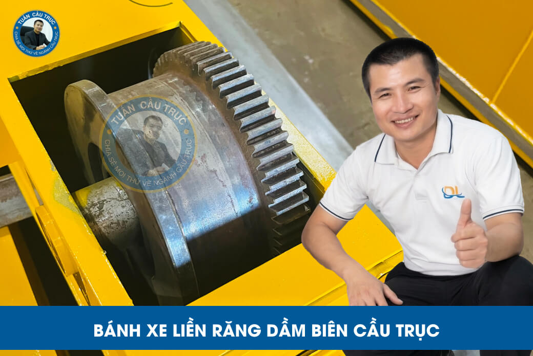 Bánh xe liền răng dầm biên cầu trục Bánh xe liền răng dầm biên cầu trục