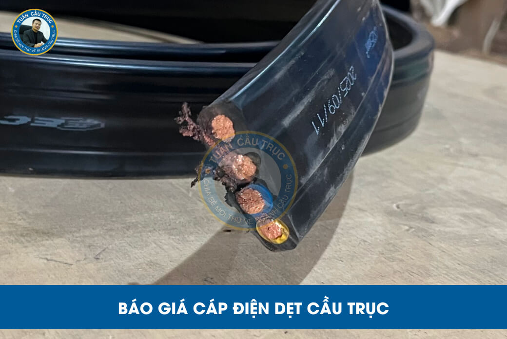 Báo giá cáp điện dẹt cầu trục Báo giá cáp điện dẹt cầu trục
