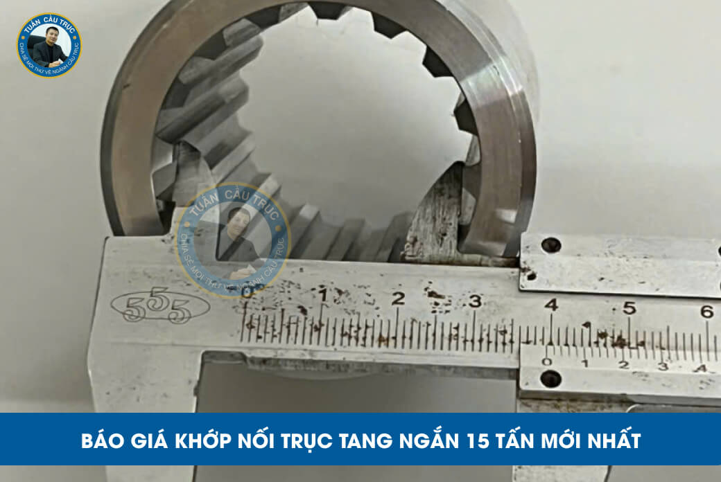 Báo giá khớp nối trục tang ngắn 15 tấn mới nhất Báo giá khớp nối trục tang ngắn 15 tấn mới nhất