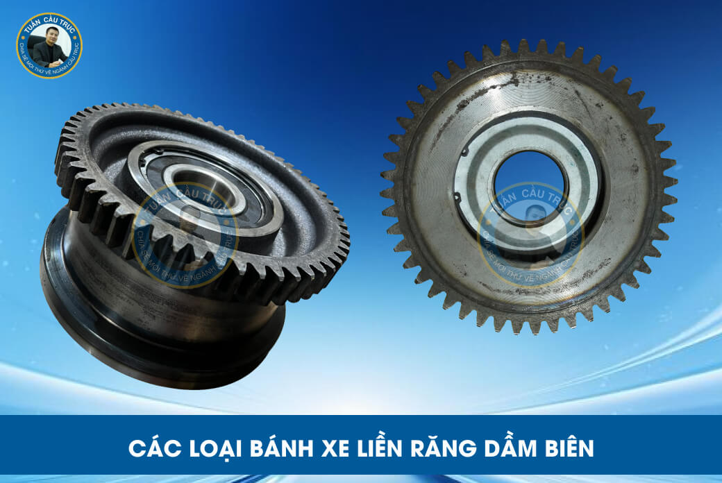 Các loại bánh xe liền răng dầm biên Các loại bánh xe liền răng dầm biên