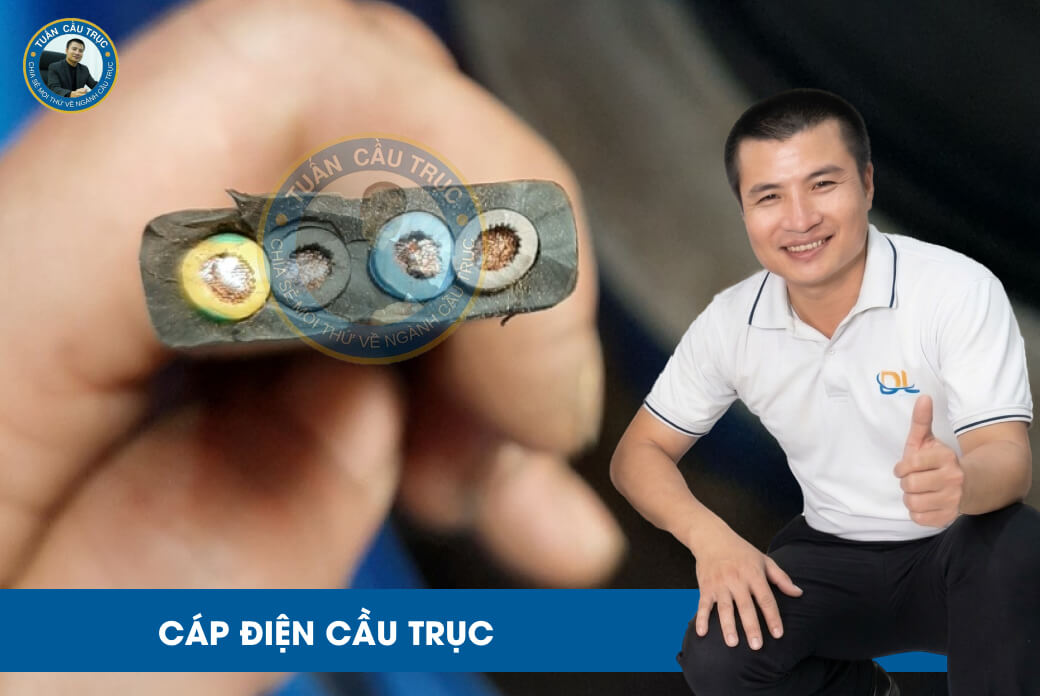 Cáp điện cầu trục Cáp điện cầu trục