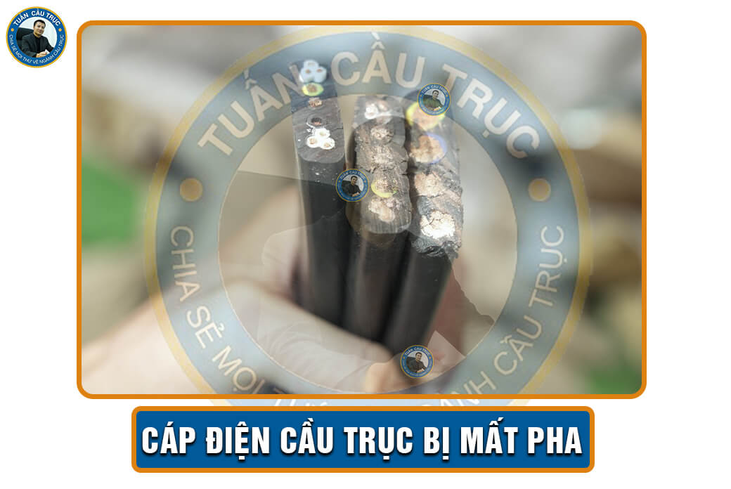 Cáp điện cầu trục bị mất pha Cáp điện cầu trục bị mất pha