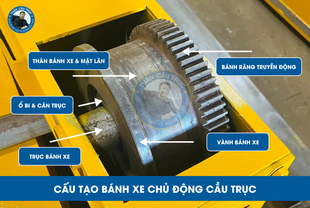 Cấu tạo bánh xe chủ động cầu trục Cấu tạo bánh xe chủ động cầu trục