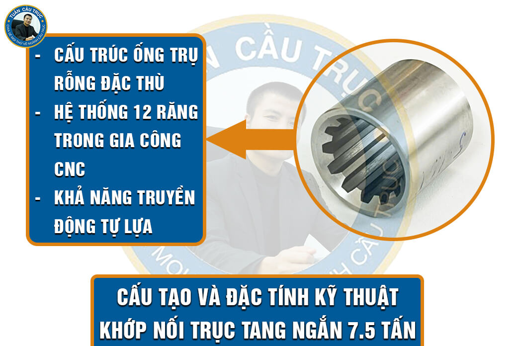 Cấu tạo và đặc tính kỹ thuật khớp nối trục tang ngắn 7.5 tấn Cấu tạo và đặc tính kỹ thuật khớp nối trục tang ngắn 7.5 tấn