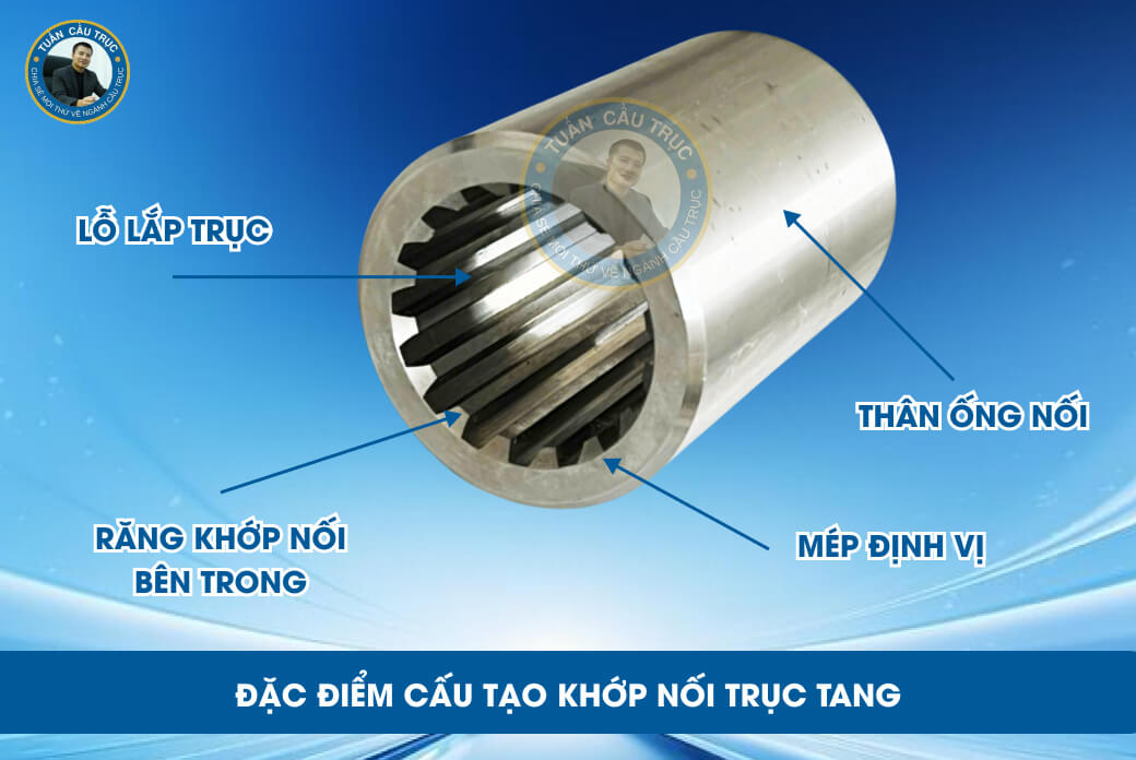Đặc điểm cấu tạo khớp nối trục tang Đặc điểm cấu tạo khớp nối trục tang