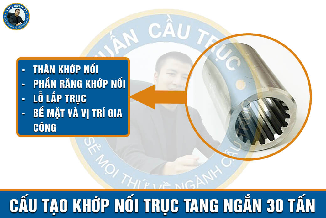 Cấu tạo khớp nối trục tang ngắn 30 tấn Cấu tạo khớp nối trục tang ngắn 30 tấn