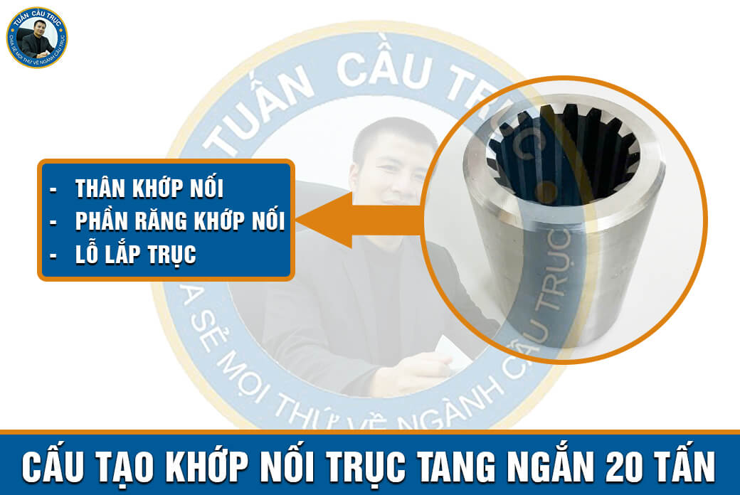 Cấu tạo khớp nối trục tang ngắn 20 tấn Cấu tạo khớp nối trục tang ngắn 20 tấn