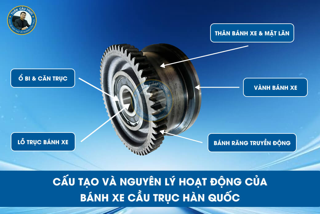 Cấu tạo và nguyên lý hoạt động của bánh xe cầu trục Hàn Quốc Cấu tạo và nguyên lý hoạt động của bánh xe cầu trục Hàn Quốc