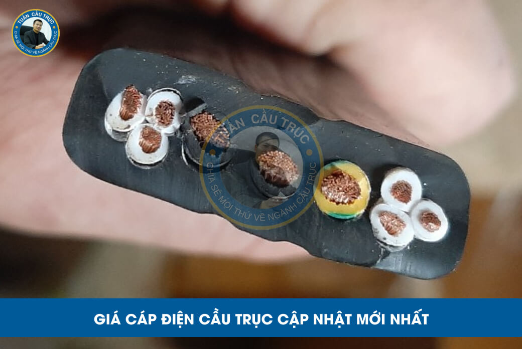 Giá cáp điện cầu trục cập nhật mới nhất Giá cáp điện cầu trục cập nhật mới nhất