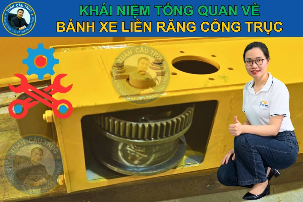 Bánh xe liền răng cổng trục Bánh xe liền răng cổng trục