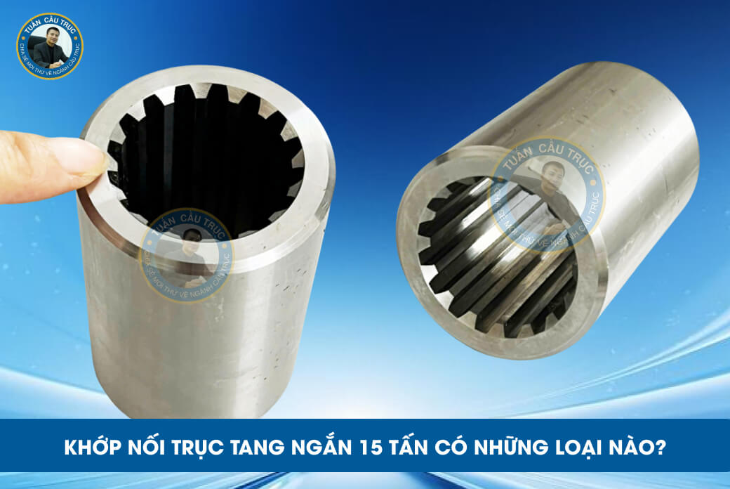 Khớp nối trục tang ngắn 15 tấn có những loại nào? Khớp nối trục tang ngắn 15 tấn có những loại nào?