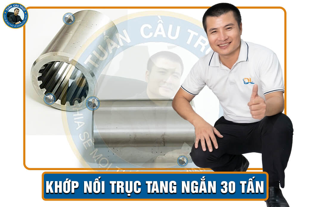 Khớp nối trục tang ngắn 30 tấn Khớp nối trục tang ngắn 30 tấn