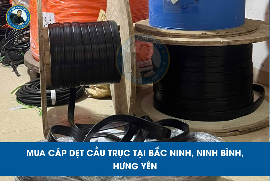Mua cáp dẹt cầu trục tại Bắc Ninh, Ninh Bình, Hưng Yên Mua cáp dẹt cầu trục tại Bắc Ninh, Ninh Bình, Hưng Yên