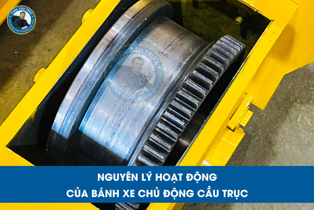 Nguyên lý hoạt động của bánh xe chủ động cầu trục Nguyên lý hoạt động của bánh xe chủ động cầu trục