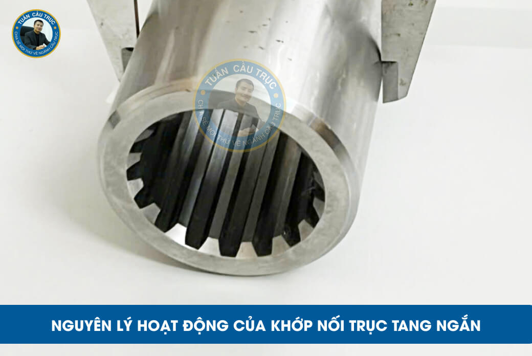 Nguyên lý hoạt động của khớp nối trục tang ngắn Nguyên lý hoạt động của khớp nối trục tang ngắn