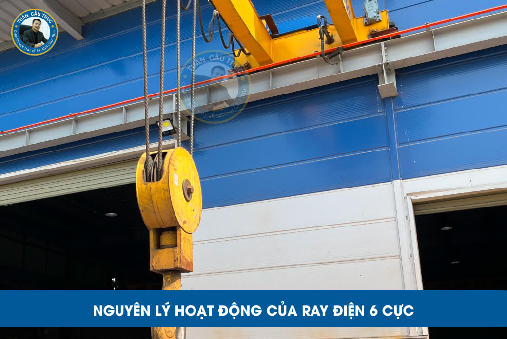 Nguyên lý hoạt động của ray điện 6 cực Nguyên lý hoạt động của ray điện 6 cực