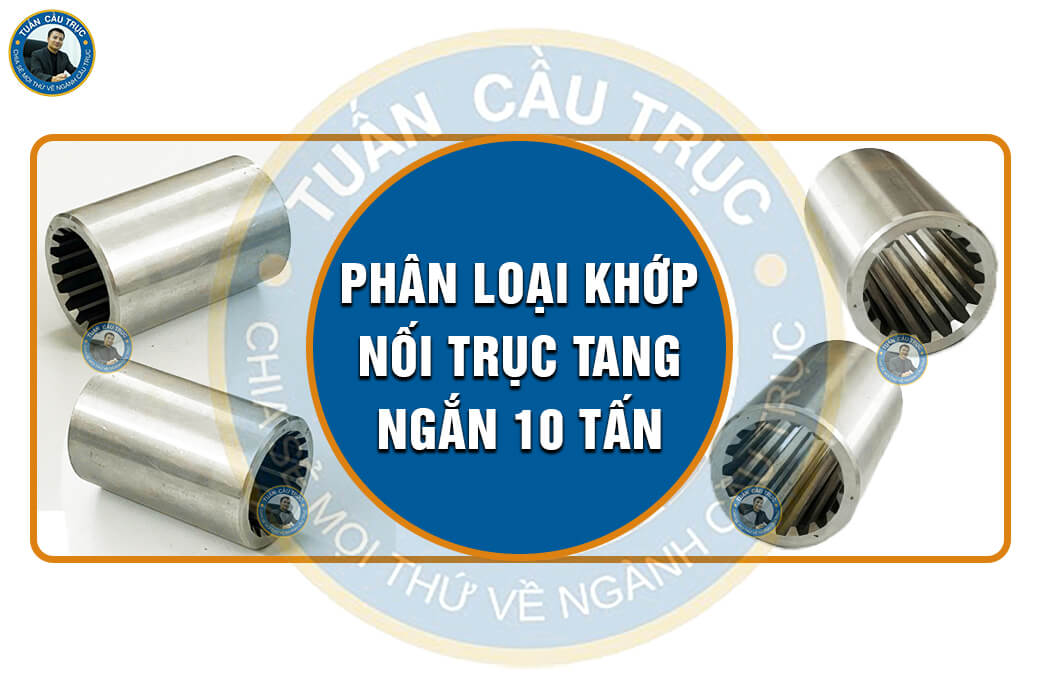 Phân loại khớp nối trục tang ngắn 10 tấn Phân loại khớp nối trục tang ngắn 10 tấn
