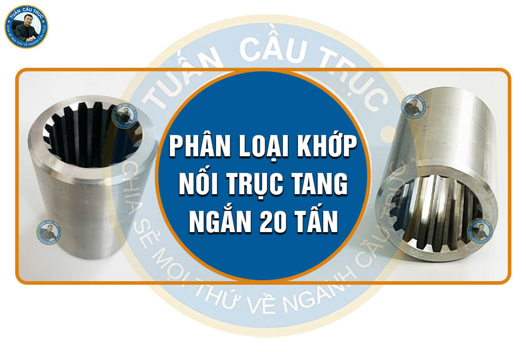 Phân loại khớp nối trục tang ngắn 20 tấn Phân loại khớp nối trục tang ngắn 20 tấn