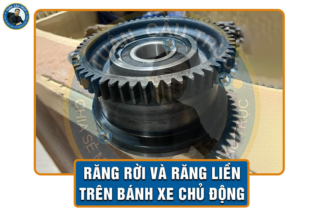Răng rời và răng liền trên bánh xe chủ động Răng rời và răng liền trên bánh xe chủ động