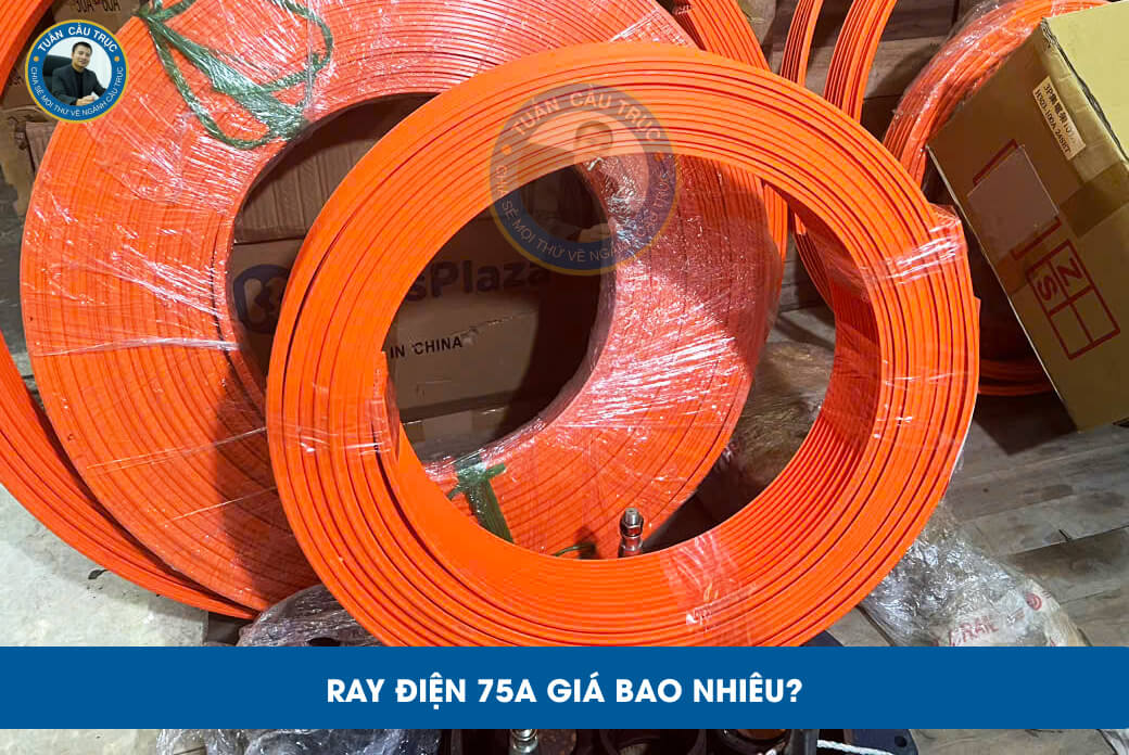 Ray điện 75A giá bao nhiêu? Ray điện 75A giá bao nhiêu?
