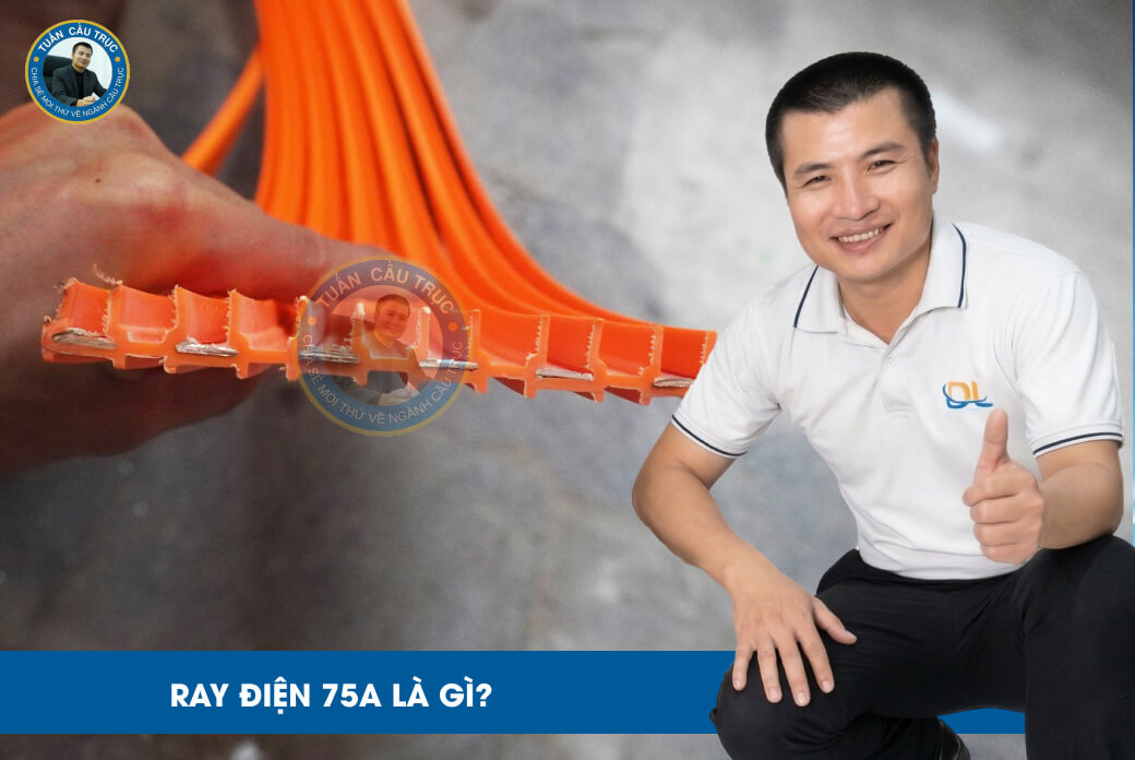Ray điện 75A Ray điện 75A