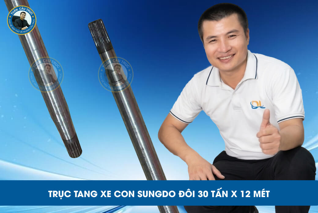 Trục tang xe con Sungdo đôi 30 tấn x 12 mét Trục tang xe con Sungdo đôi 30 tấn x 12 mét