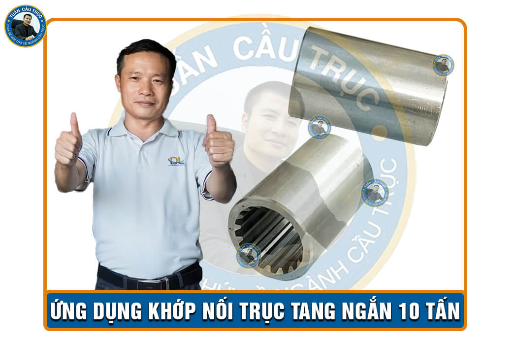 Ứng dụng khớp nối trục tang ngắn 10 tấn Ứng dụng khớp nối trục tang ngắn 10 tấn
