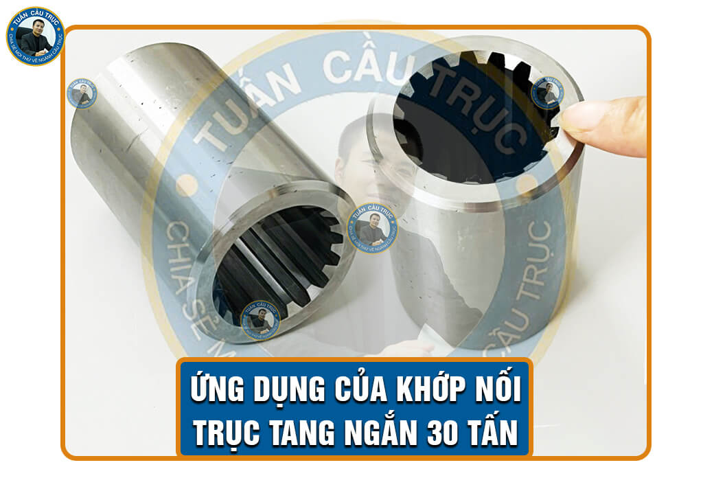 Ứng dụng của khớp nối trục tang ngắn 30 tấn Ứng dụng của khớp nối trục tang ngắn 30 tấn