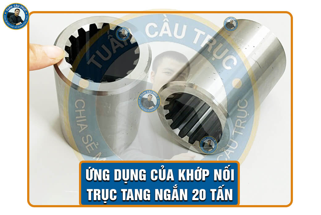 Ứng dụng của khớp nối trục tang ngắn 20 tấn Ứng dụng của khớp nối trục tang ngắn 20 tấn