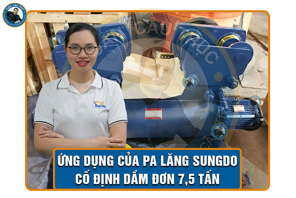 Ứng dụng của pa lăng Sungdo cố định dầm đơn 7,5 tấn Ứng dụng của pa lăng Sungdo cố định dầm đơn 7,5 tấn