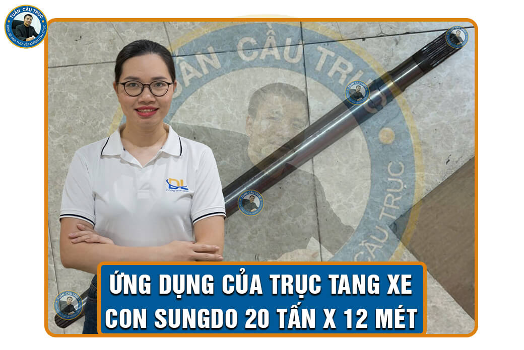 Ứng dụng của trục tang xe con Sungdo 20 tấn x 12 mét Ứng dụng của trục tang xe con Sungdo 20 tấn x 12 mét