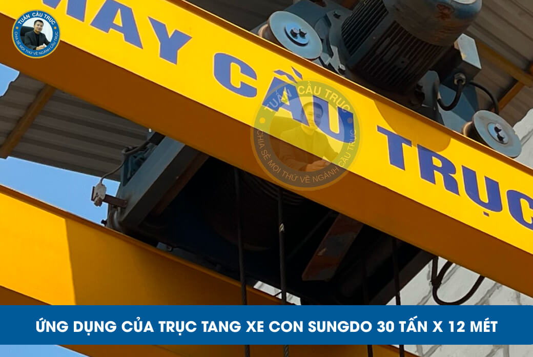 Ứng dụng của trục tang xe con Sungdo 30 tấn x 12 mét Ứng dụng của trục tang xe con Sungdo 30 tấn x 12 mét