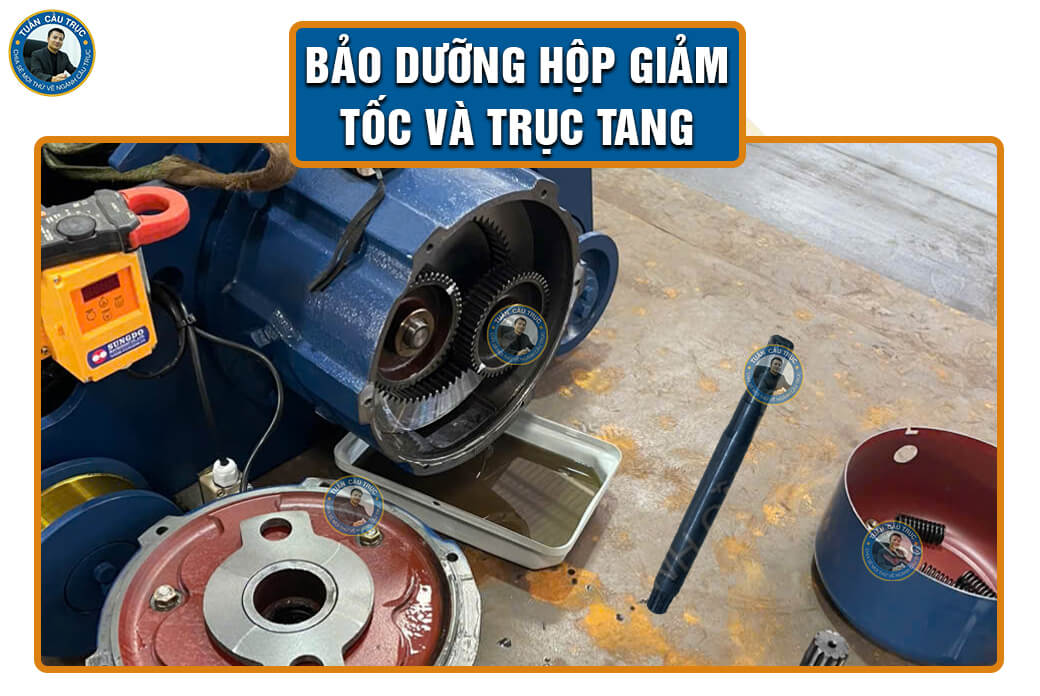 Bảo dưỡng hộp giảm tốc và trục tang Bảo dưỡng hộp giảm tốc và trục tang